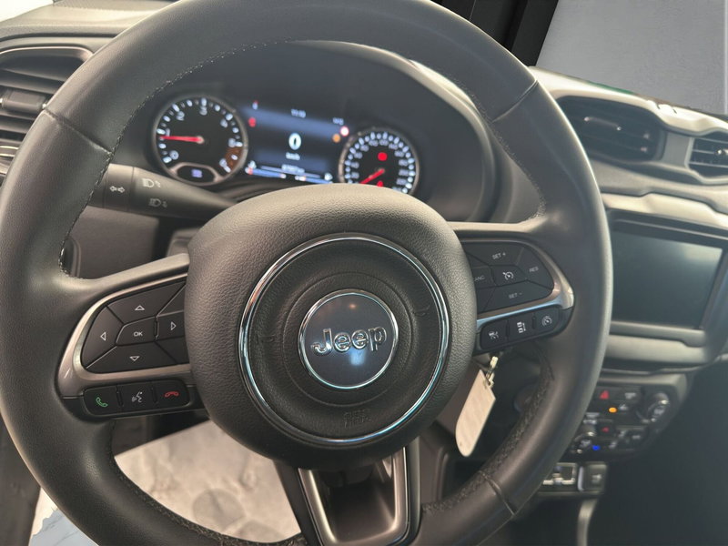 Jeep Renegade usata a Cosenza (10)