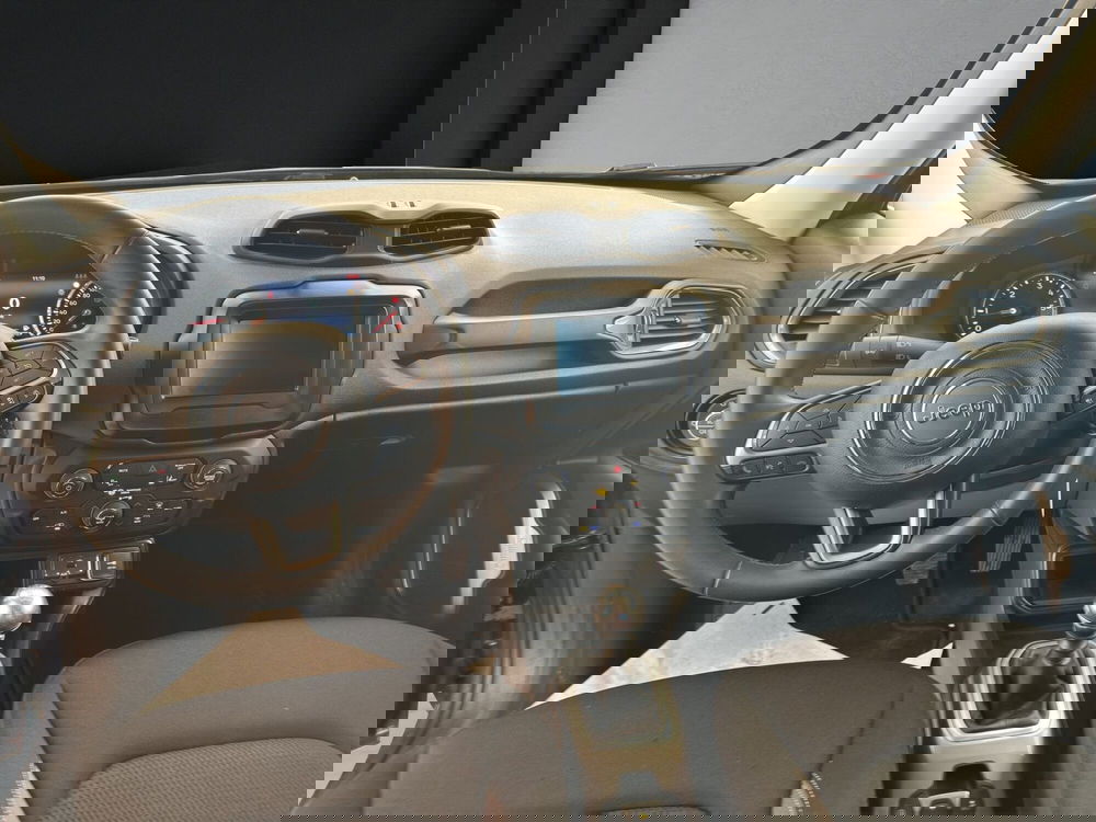 Jeep Renegade usata a Cosenza (14)