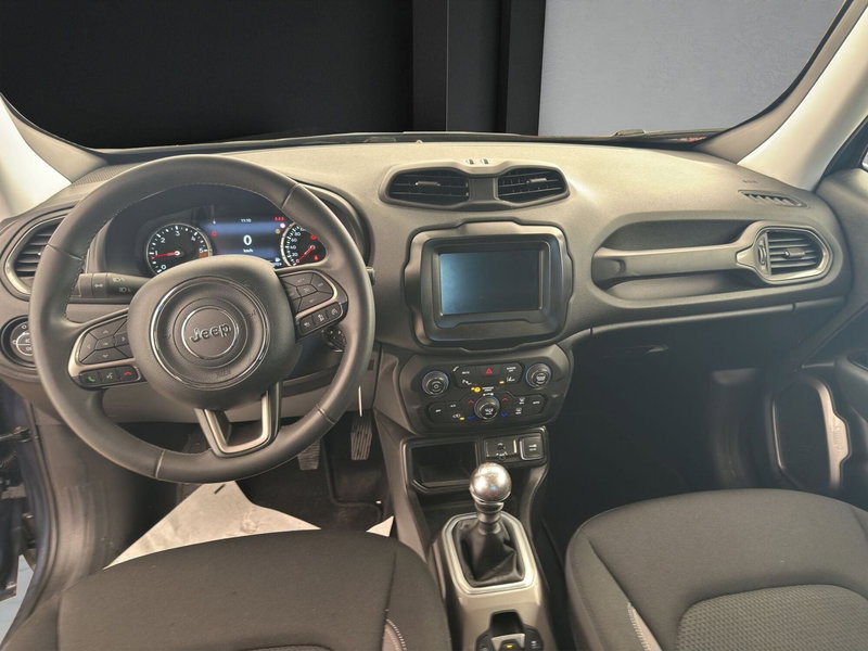 Jeep Renegade usata a Cosenza (14)