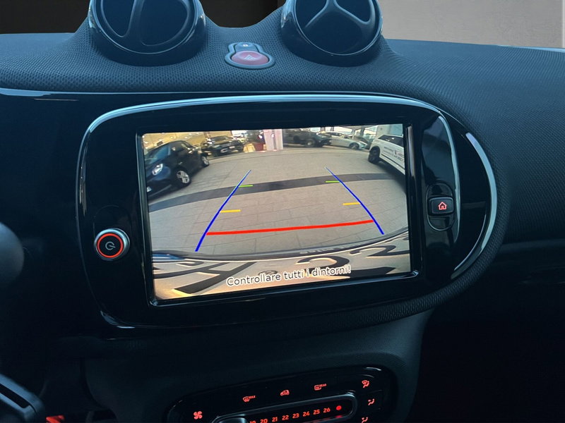 smart Fortwo usata a Cosenza (16)