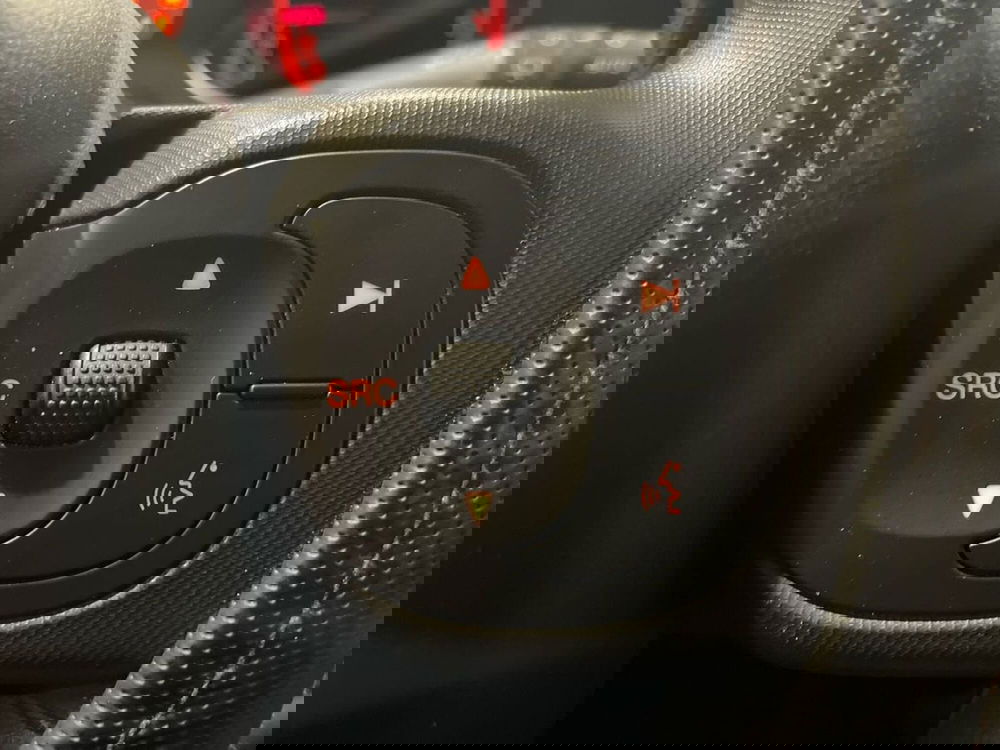 Fiat Panda Cross usata a Salerno (20)