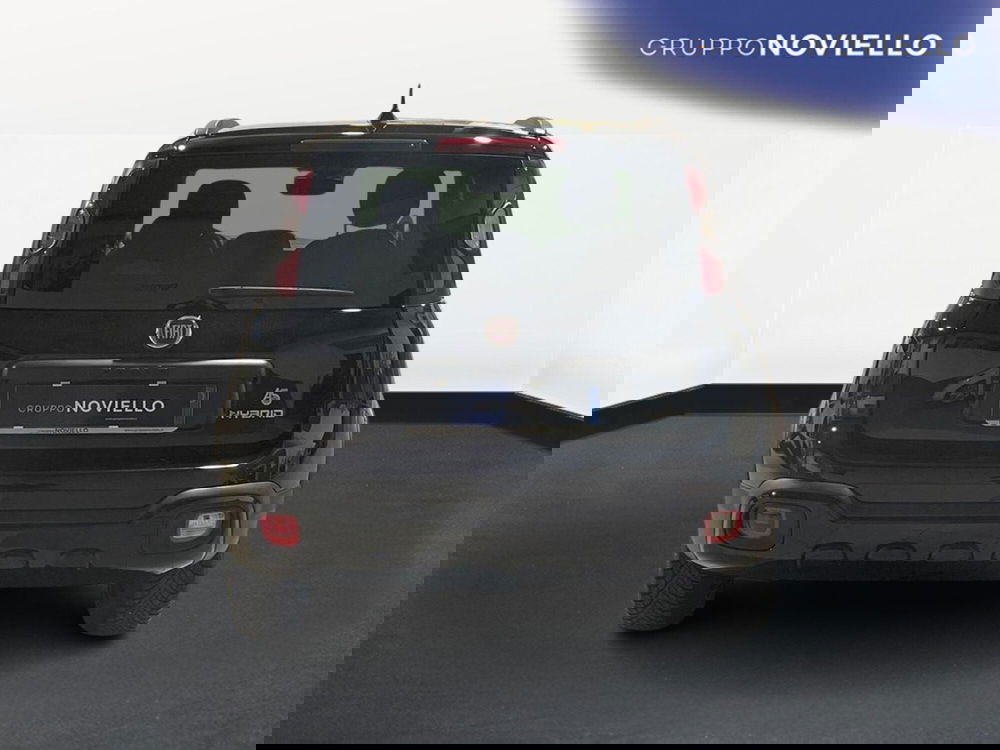 Fiat Panda Cross usata a Salerno (6)