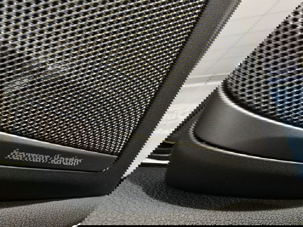 BMW Serie 5 Touring usata a Vercelli (20)