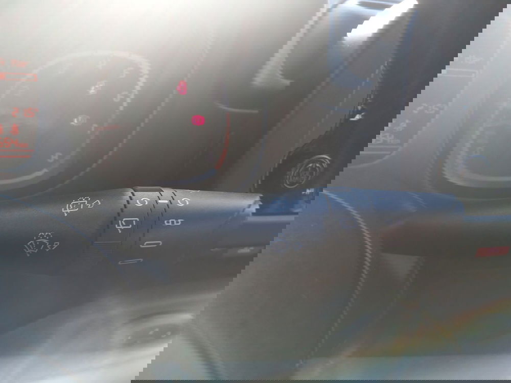 Fiat Panda Cross usata a Lucca (19)