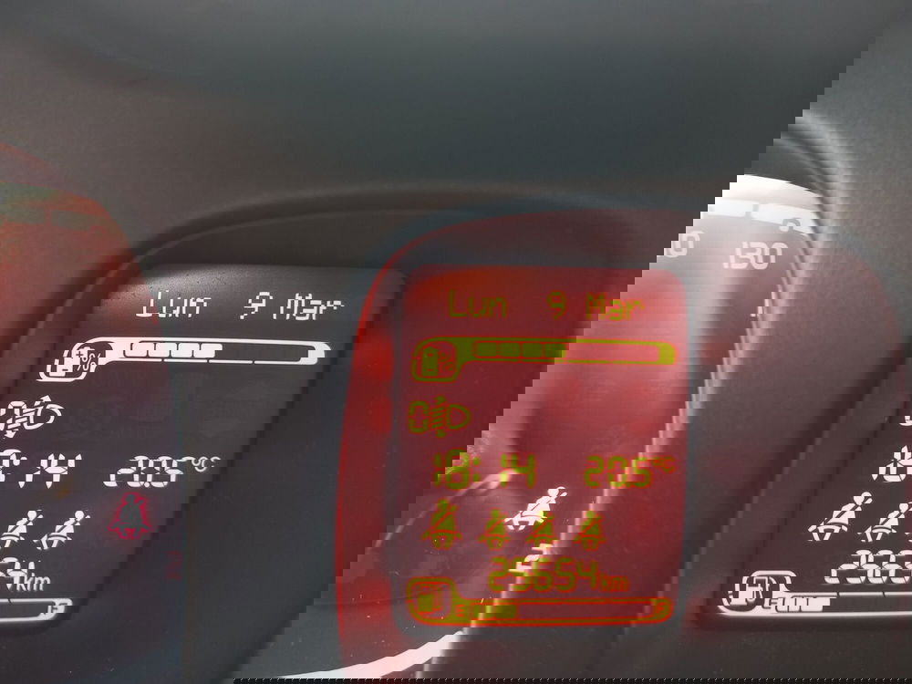 Fiat Panda Cross usata a Lucca (20)