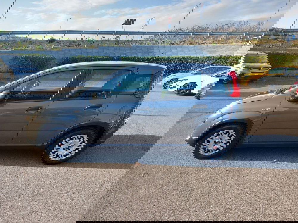 Fiat Panda Cross usata a Lucca (3)