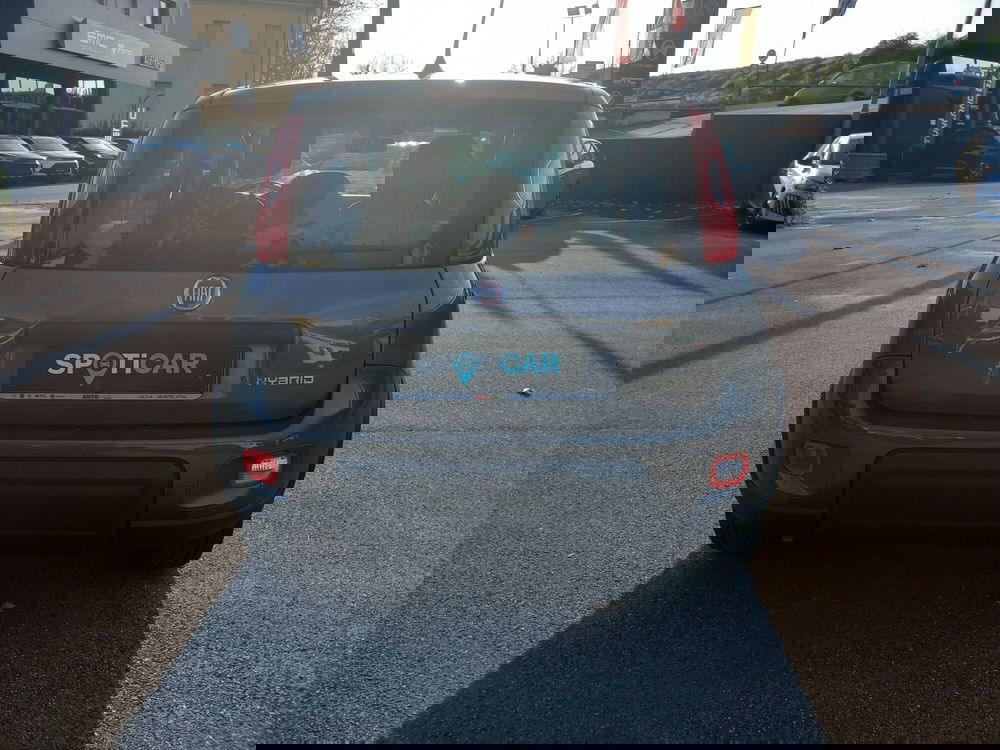 Fiat Panda Cross usata a Lucca (5)