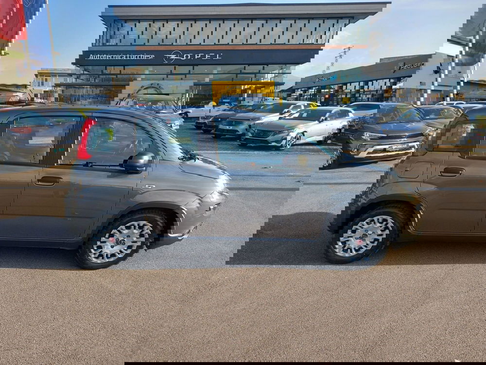 Fiat Panda Cross usata a Lucca (7)