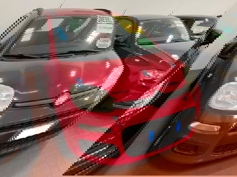 Fiat Panda usata a Lucca (3)