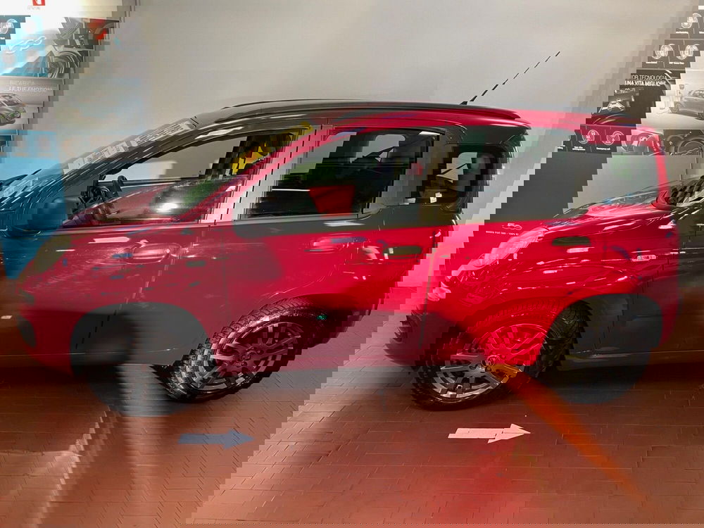 Fiat Panda usata a Lucca (4)