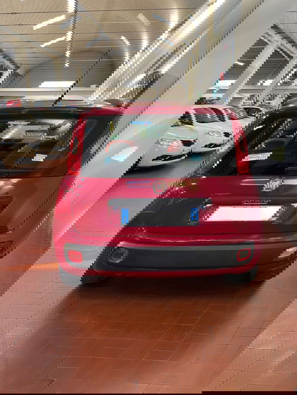 Fiat Panda usata a Lucca (6)