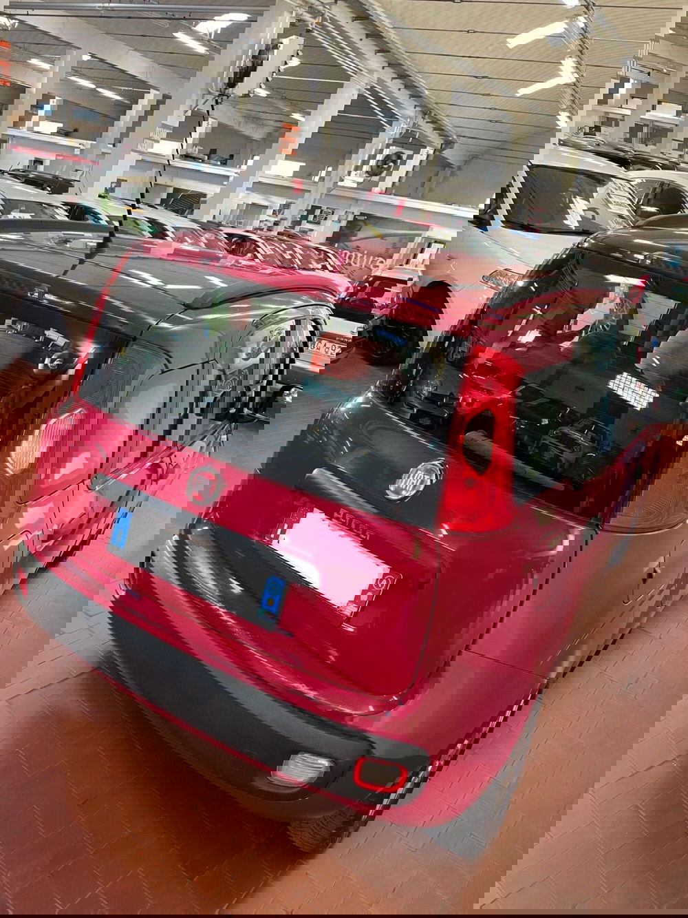 Fiat Panda usata a Lucca (7)