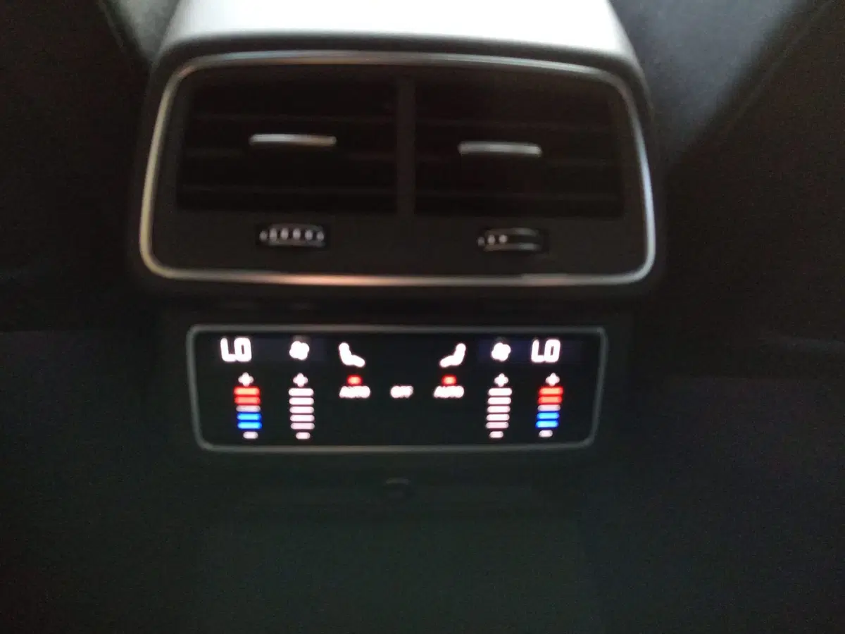 Audi A6 Avant usata a Bari (15)