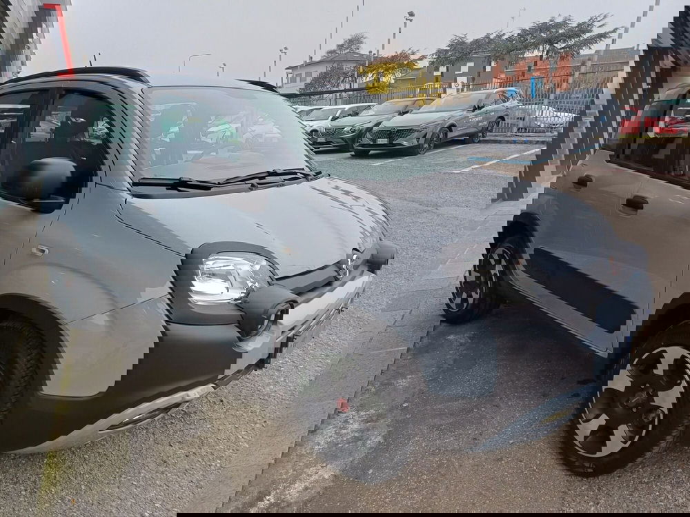 Fiat Panda Cross usata a Modena (5)