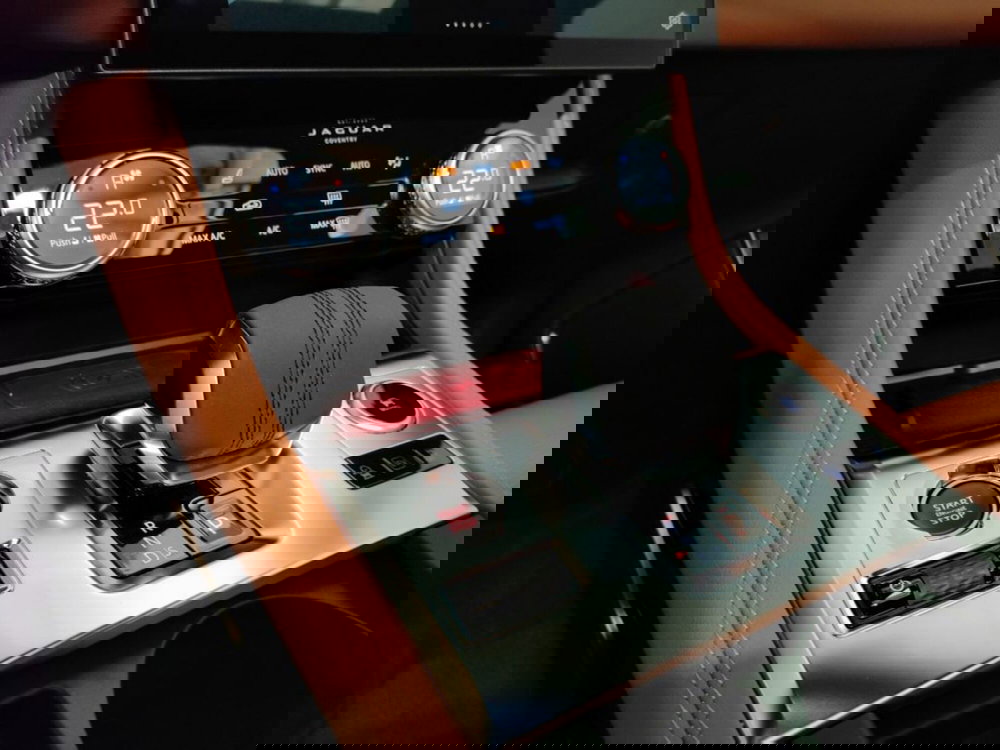 Jaguar F-Pace usata a Novara (13)