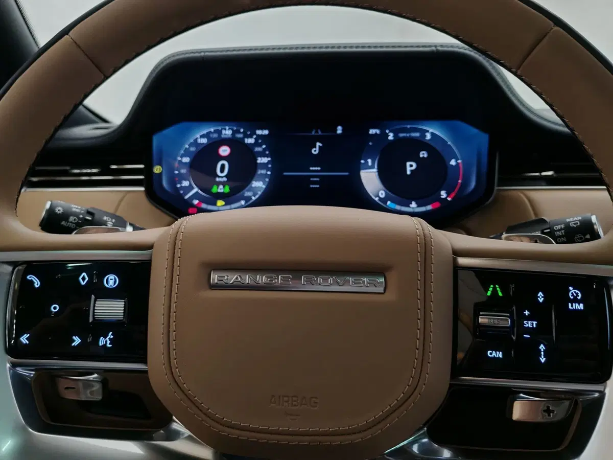 Land Rover Range Rover usata a Novara (11)
