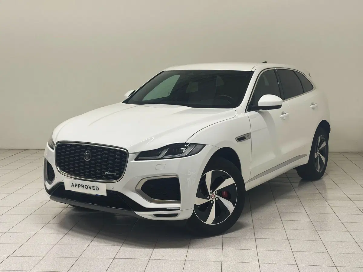 Jaguar F-Pace usata a Novara