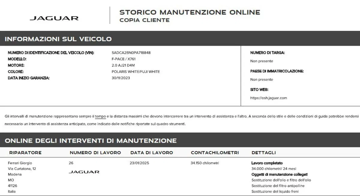 Jaguar F-Pace usata a Novara (10)
