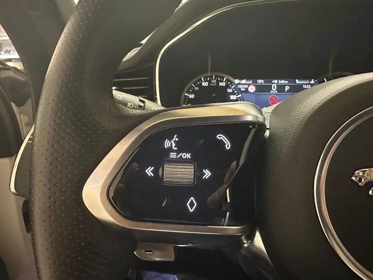 Jaguar F-Pace usata a Novara (11)