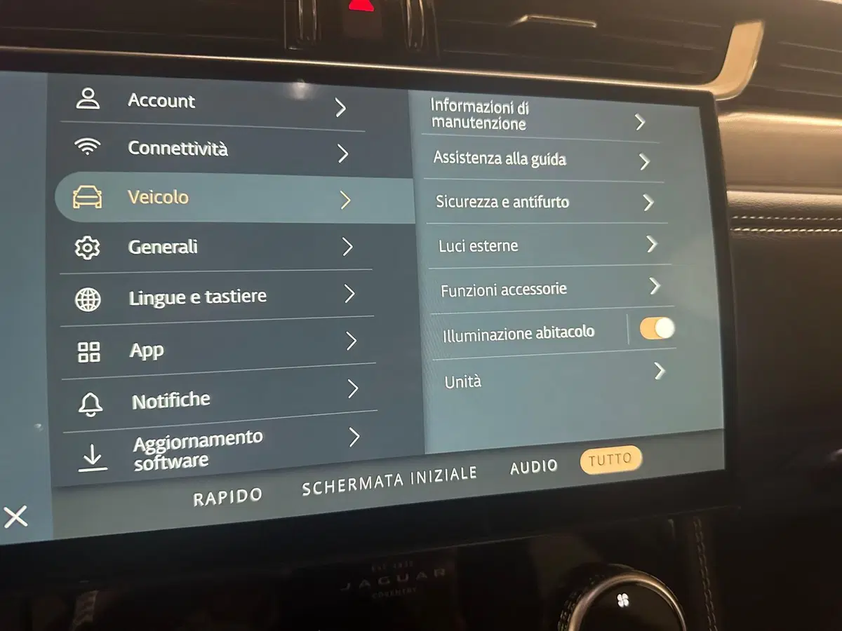 Jaguar F-Pace usata a Novara (16)