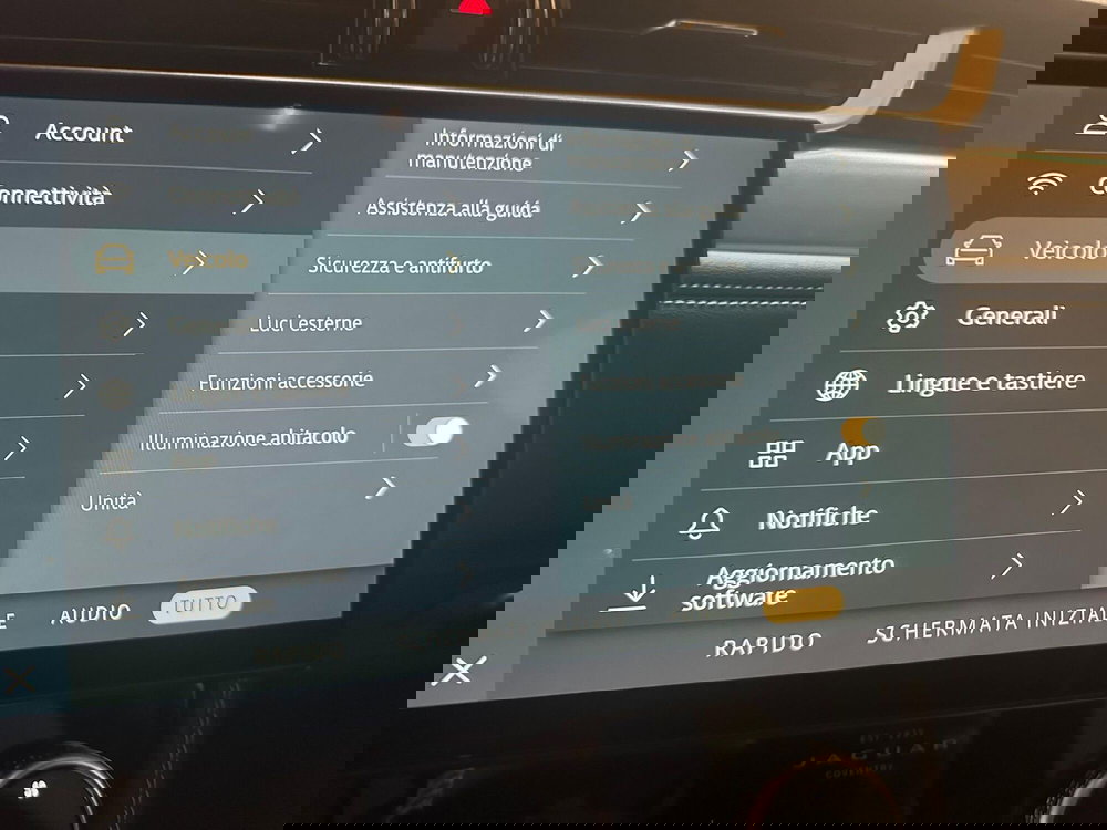 Jaguar F-Pace usata a Novara (16)