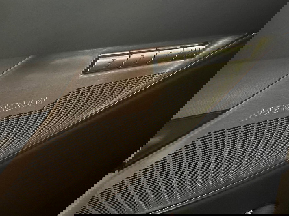 Jaguar F-Pace usata a Novara (17)