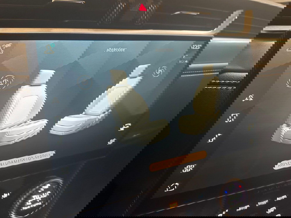 Jaguar F-Pace usata a Novara (18)