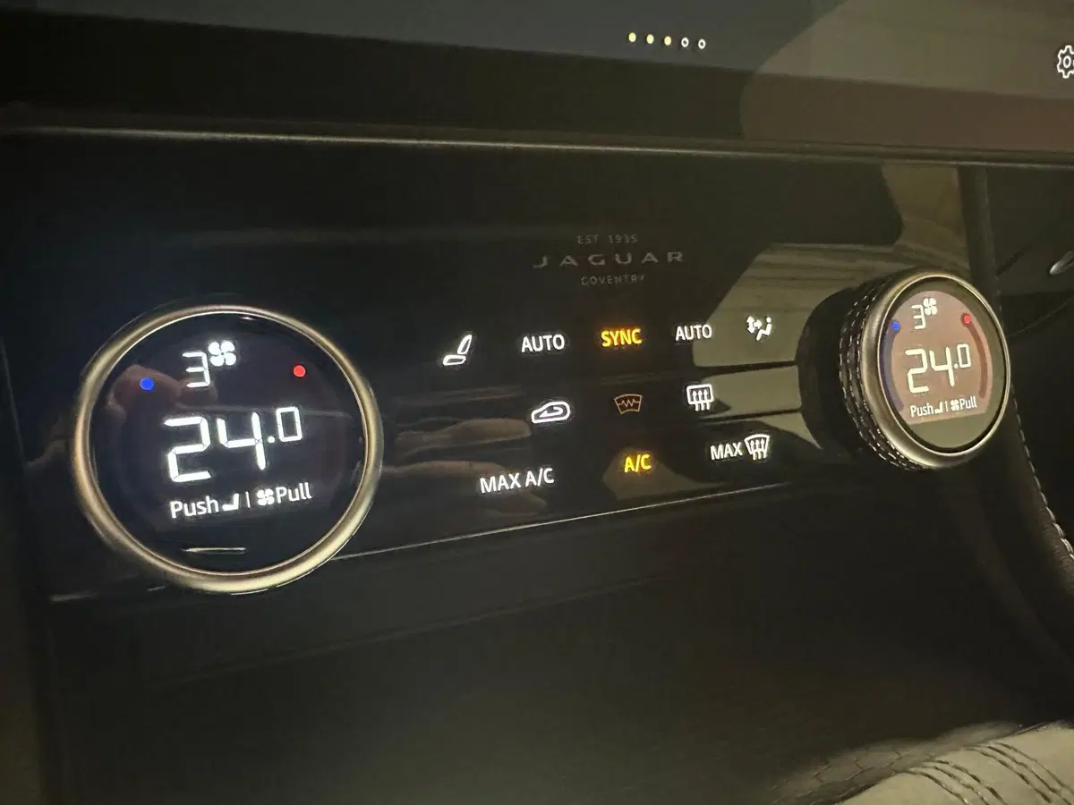 Jaguar F-Pace usata a Novara (20)