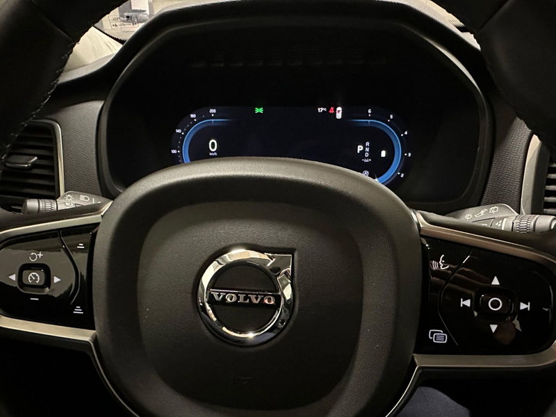 Volvo XC90 usata a Novara (13)