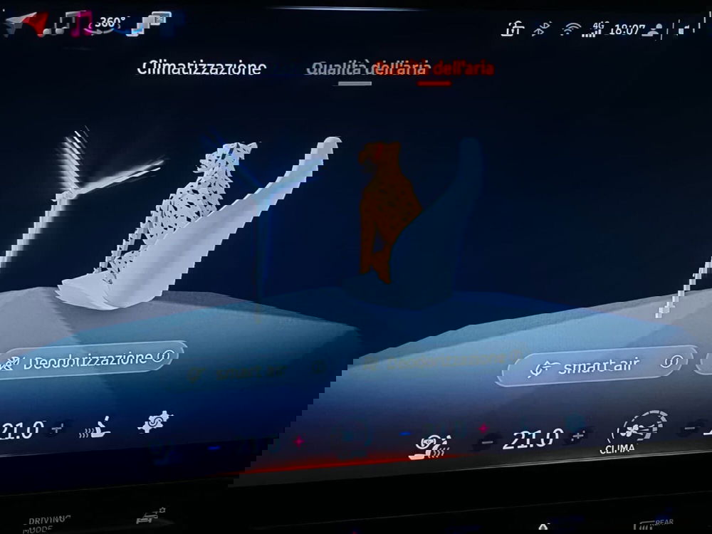 smart #1 usata a Novara (13)