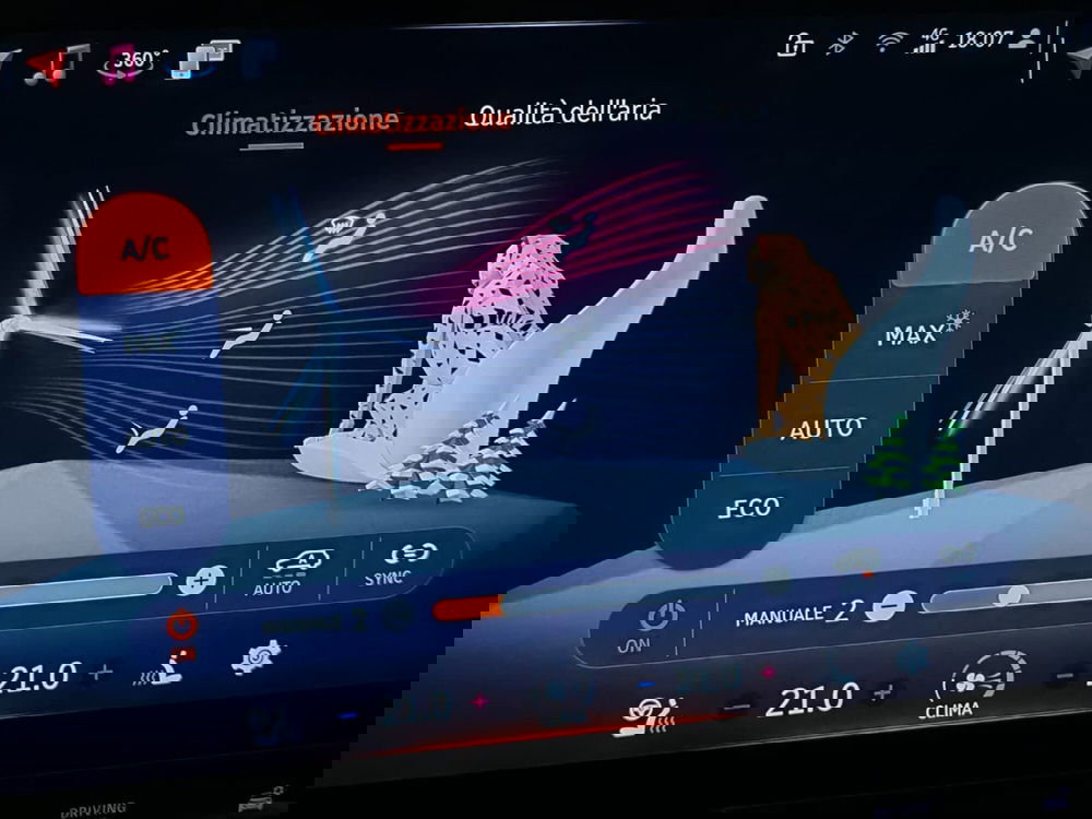 smart #1 usata a Novara (20)