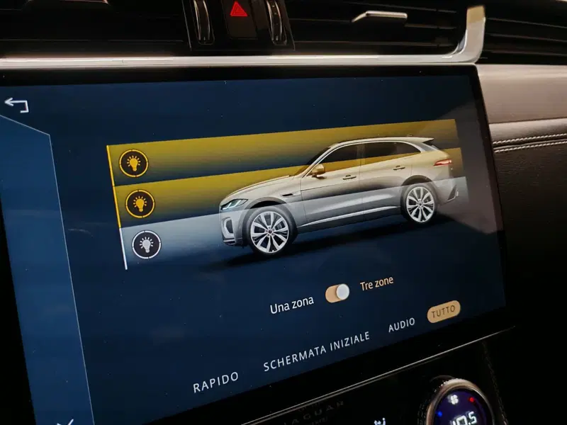 Jaguar F-Pace usata a Novara (10)