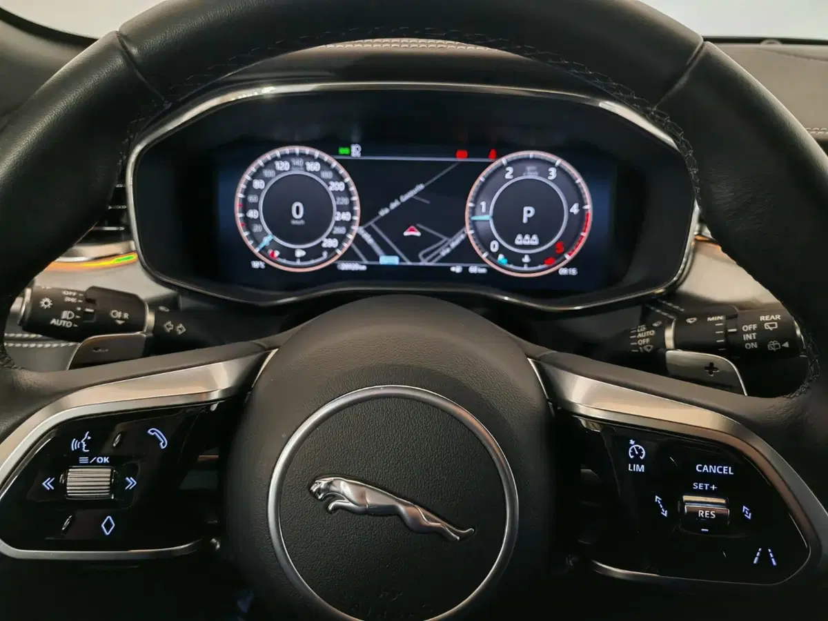 Jaguar F-Pace usata a Novara (13)