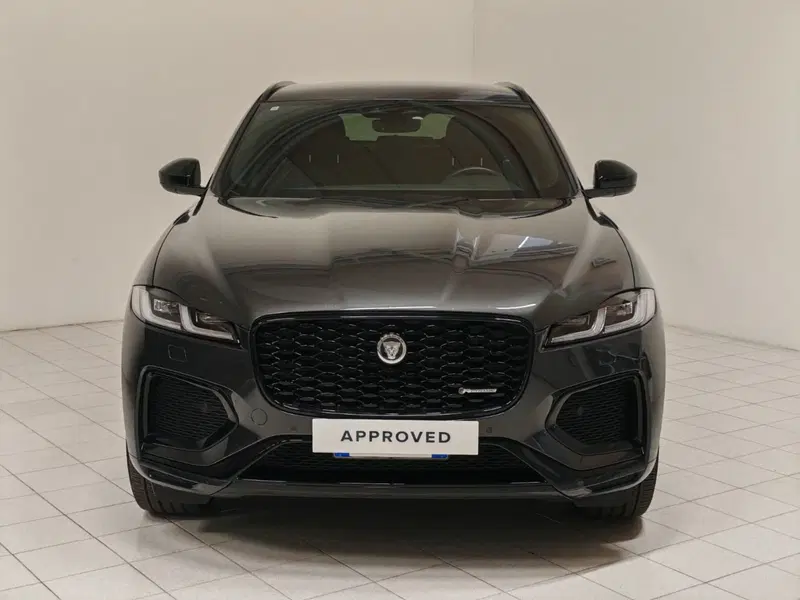 Jaguar F-Pace usata a Novara (8)
