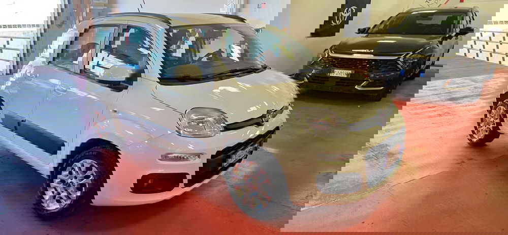 Fiat Panda usata a Messina (5)