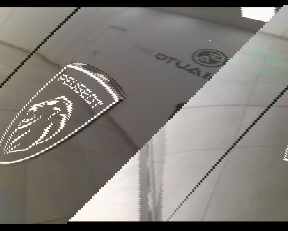 Peugeot 308 SW usata a Alessandria (19)