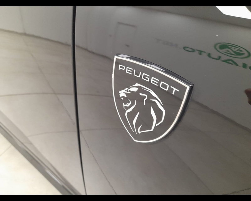 Peugeot 308 SW usata a Alessandria (19)