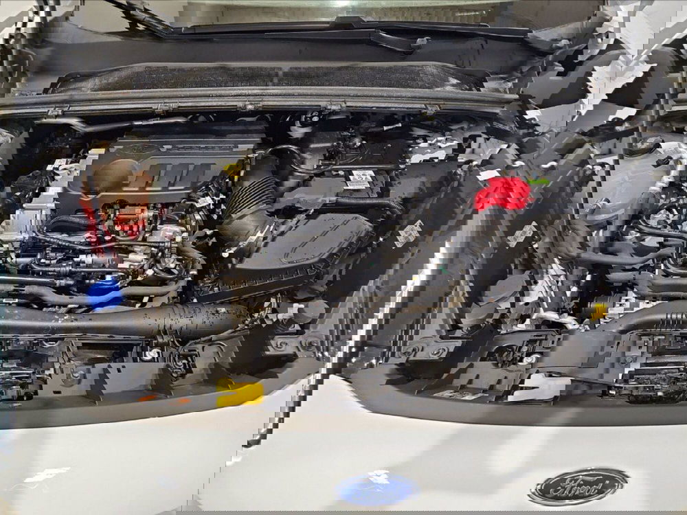 Ford Puma usata a Palermo (20)