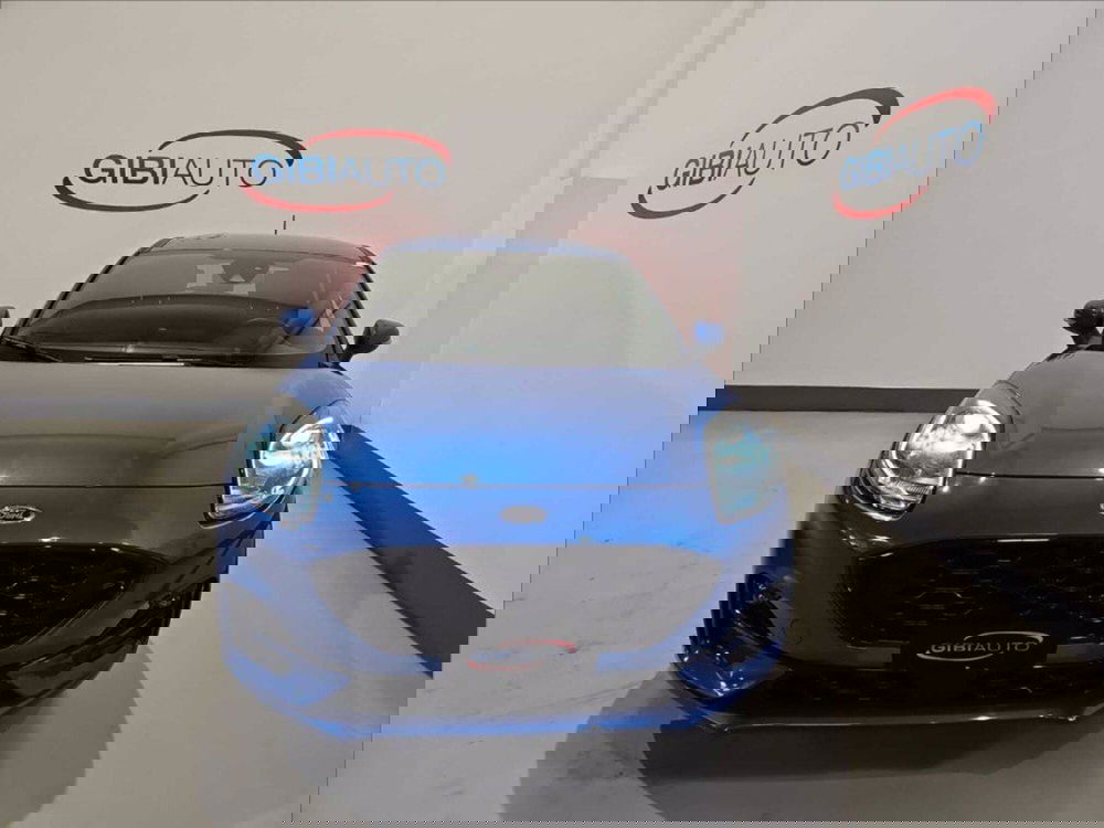 Ford Puma usata a Palermo (2)