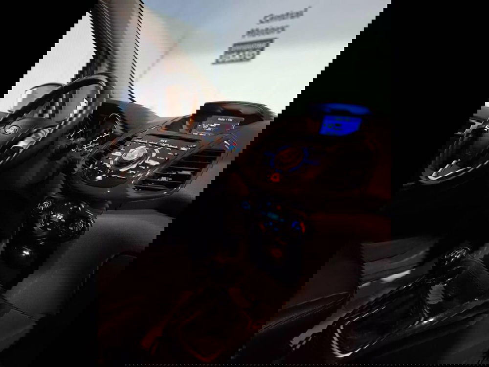 Ford EcoSport usata a Torino (11)