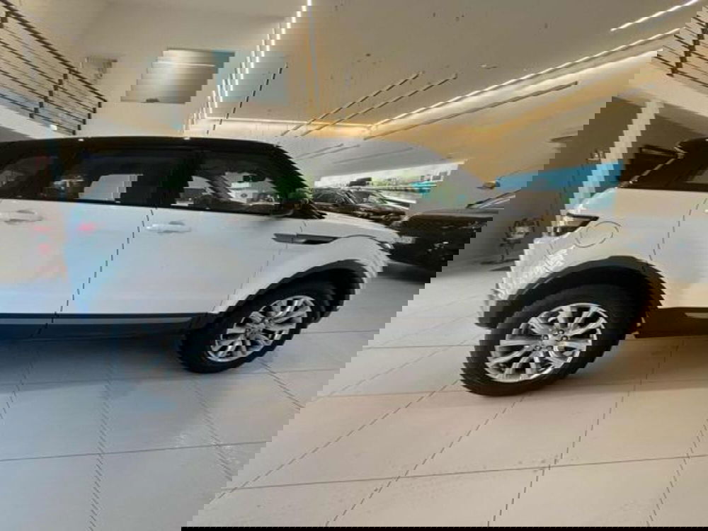 Land Rover Range Rover Evoque usata a Lucca