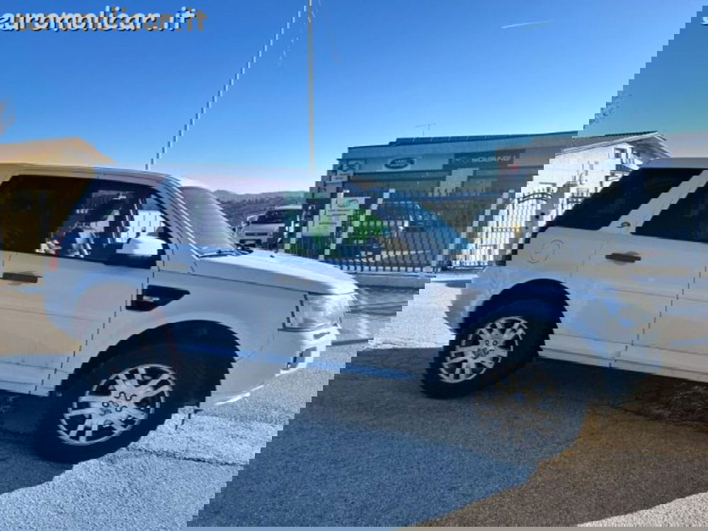 Land Rover Freelander usata a Campobasso (6)