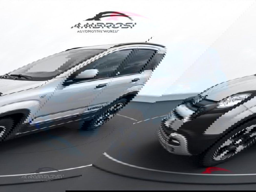 Fiat Panda usata a Perugia