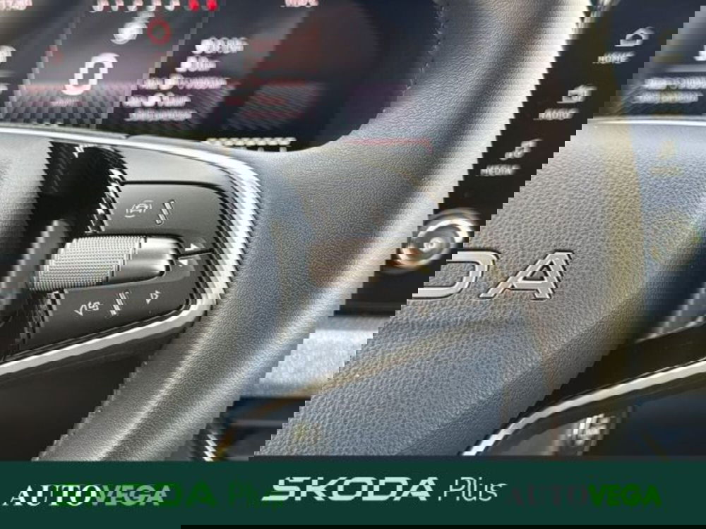 Skoda Kamiq usata a Vicenza (20)