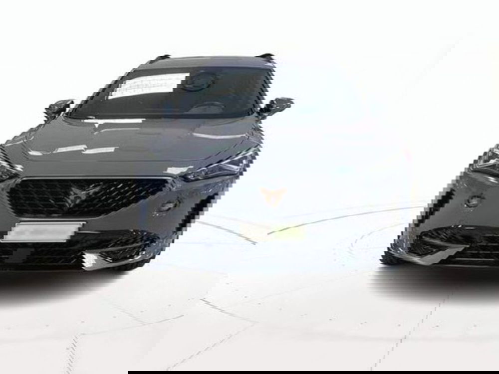 Cupra Formentor usata a Vicenza (2)