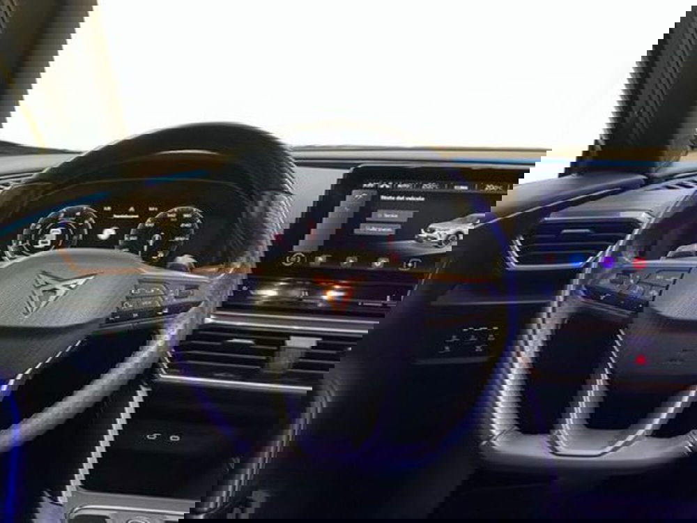 Cupra Formentor usata a Vicenza (9)