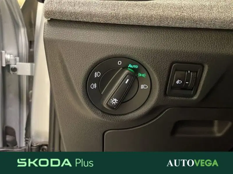 Skoda Kamiq usata a Vicenza (15)