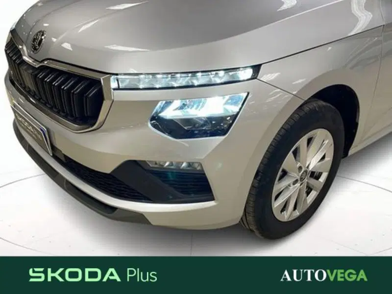 Skoda Kamiq usata a Vicenza (16)