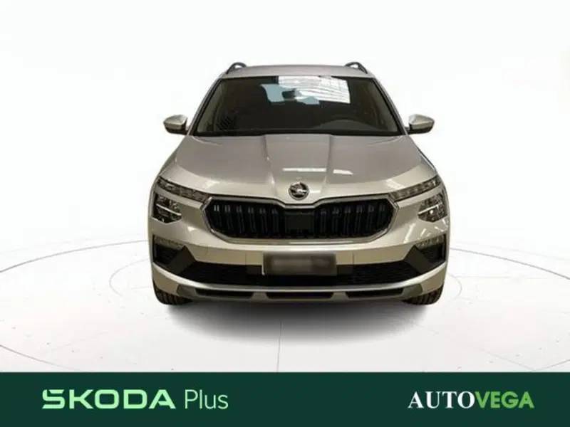 Skoda Kamiq usata a Vicenza (2)