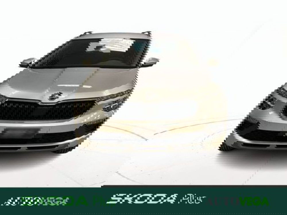 Skoda Kamiq usata a Vicenza (2)